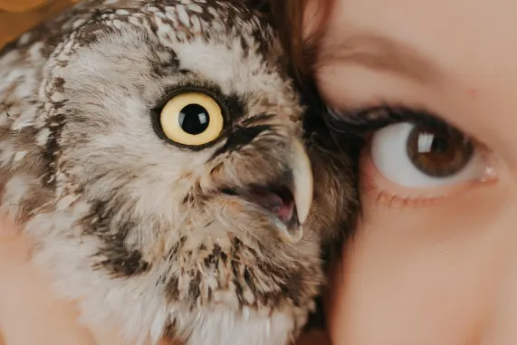 MatchUp Casino Suporte